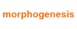 Morphogenesis Adani Realty