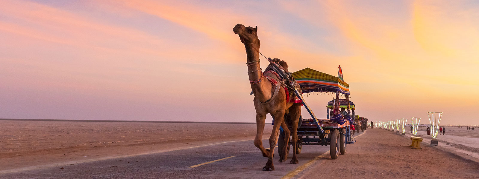 Rann Utsav – A Cultural Extravaganza