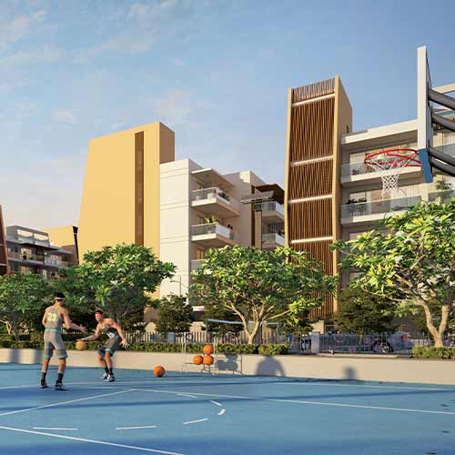 Half Basket Ball Court