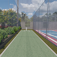 Cricket Pitch