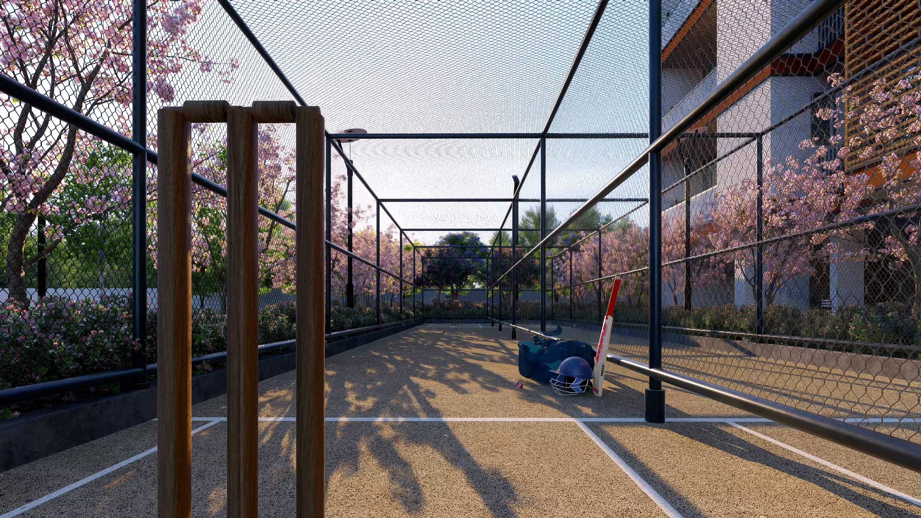 Cricket practice Pitch