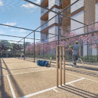 Cricket Practice Pitch