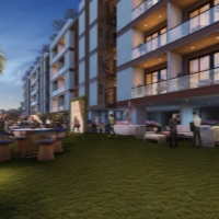 Party Lawn