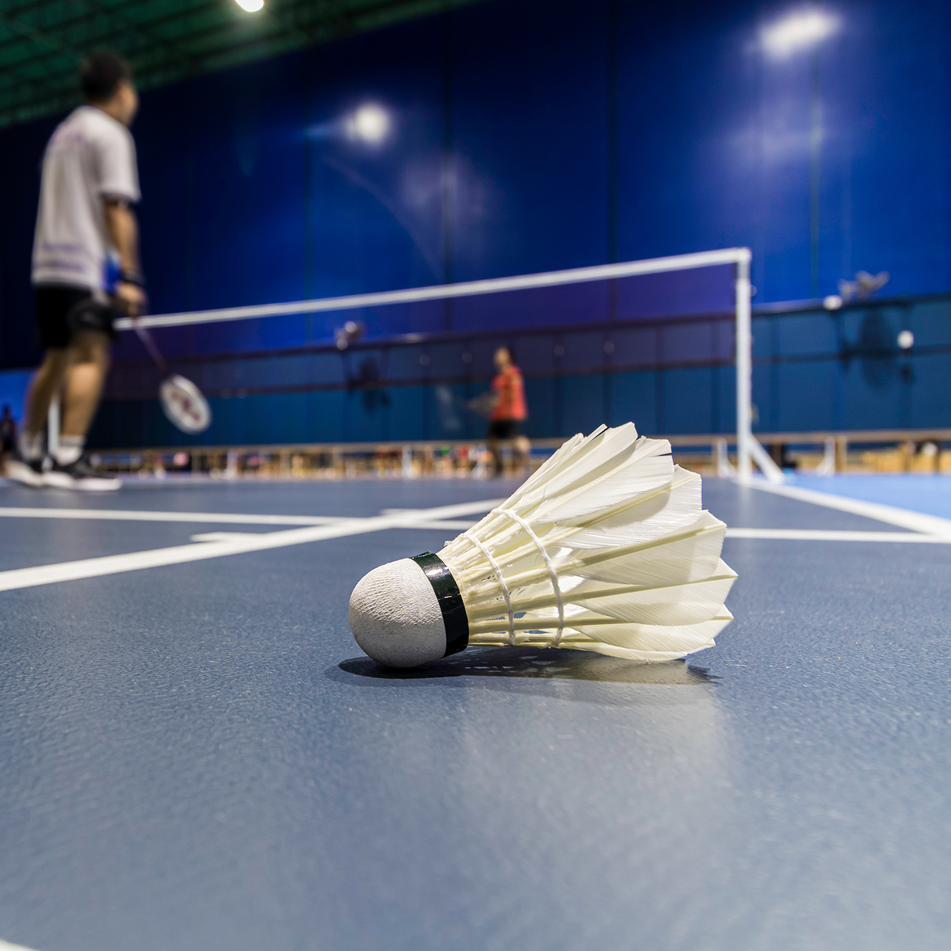 Badminton Court