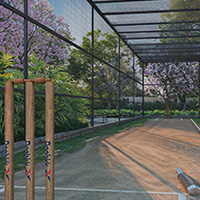 Cricket Net