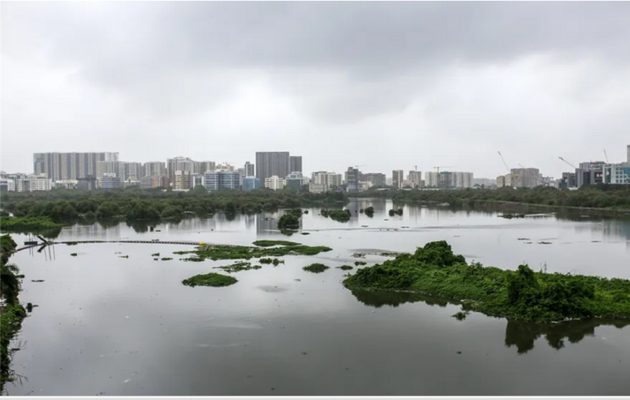 Ten BKC development